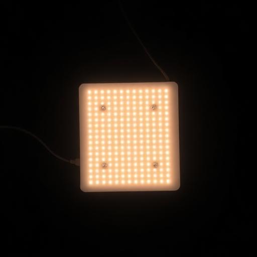 Pocket LED